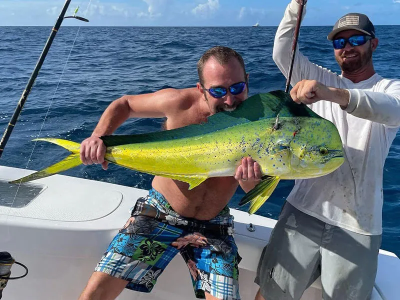 Latest Mahi Catch Islamorada