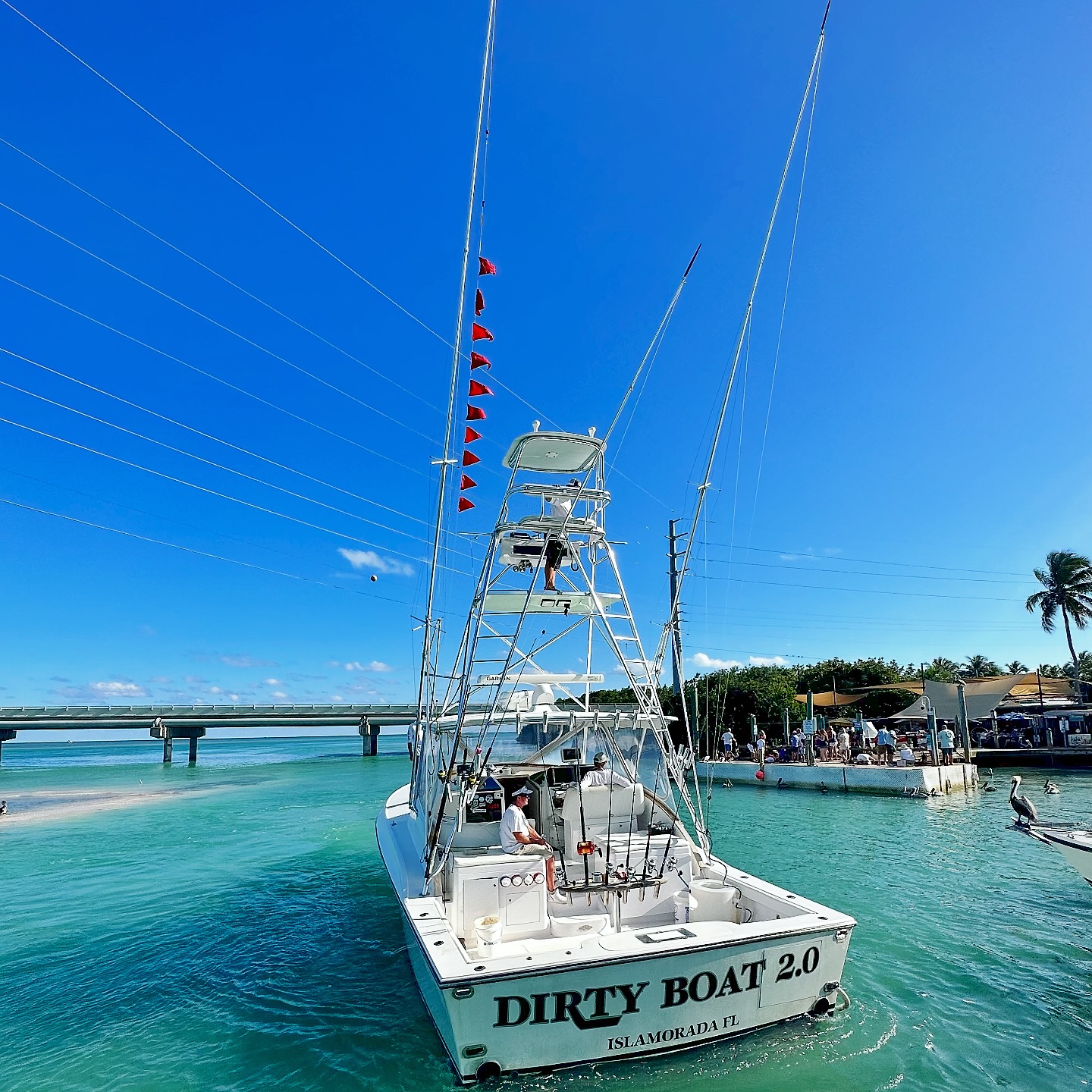 Perfect 10 sailfish day - 10 sailfish in single day