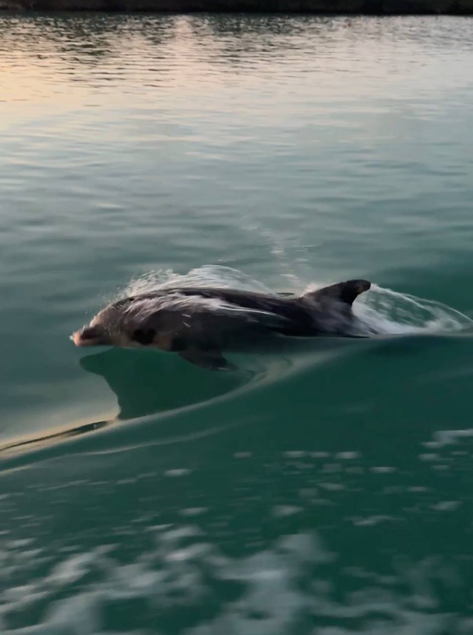 Captain's Log — March 13, 2026