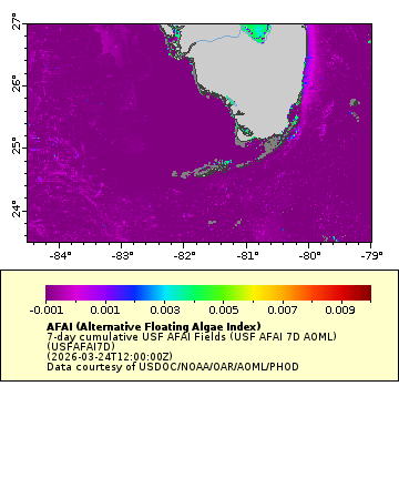 Record Sargassum Headed for the Florida Keys — What It Means for Fishing