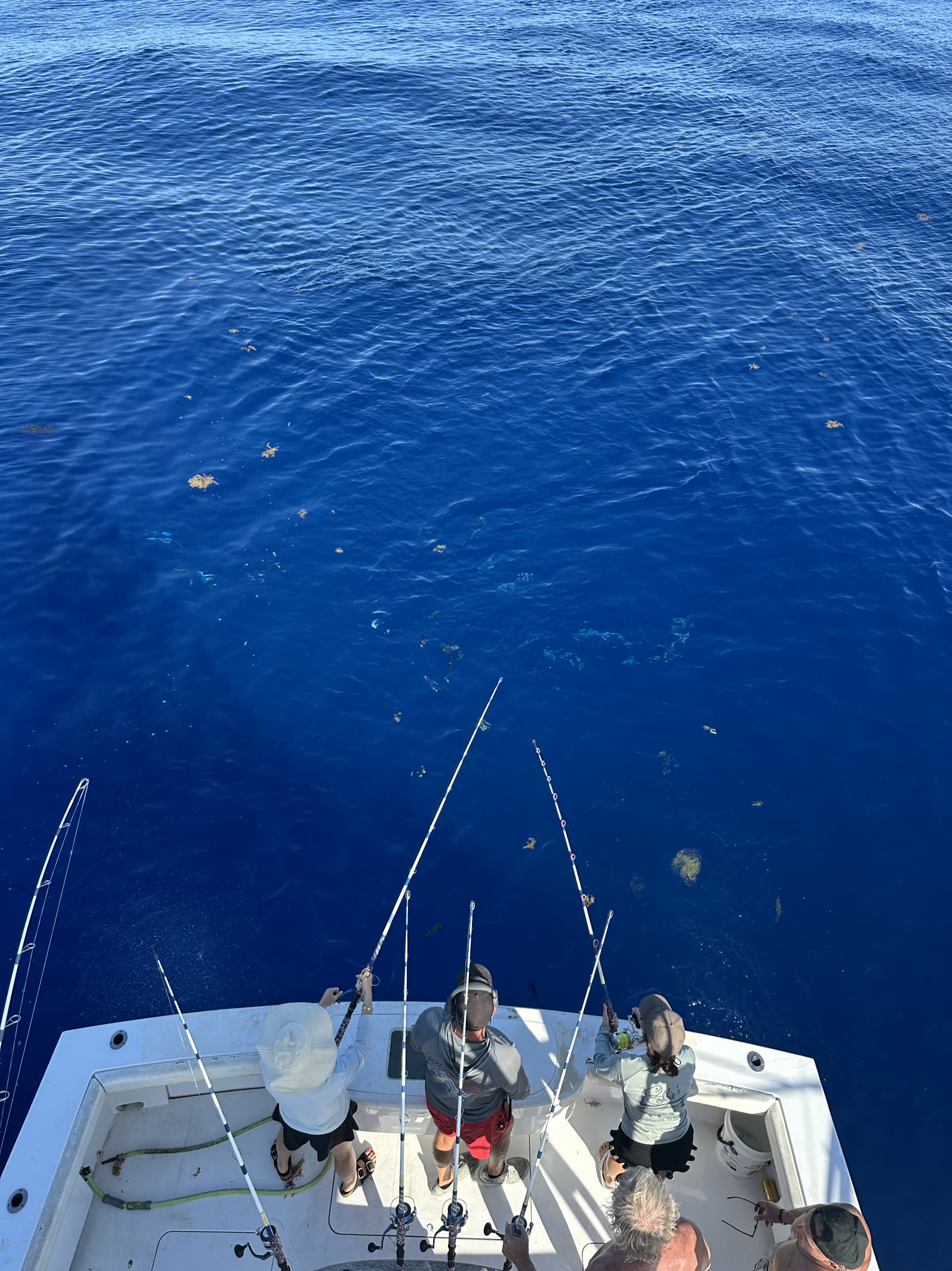Trolling the edge, schoolies coming up out of the weed
