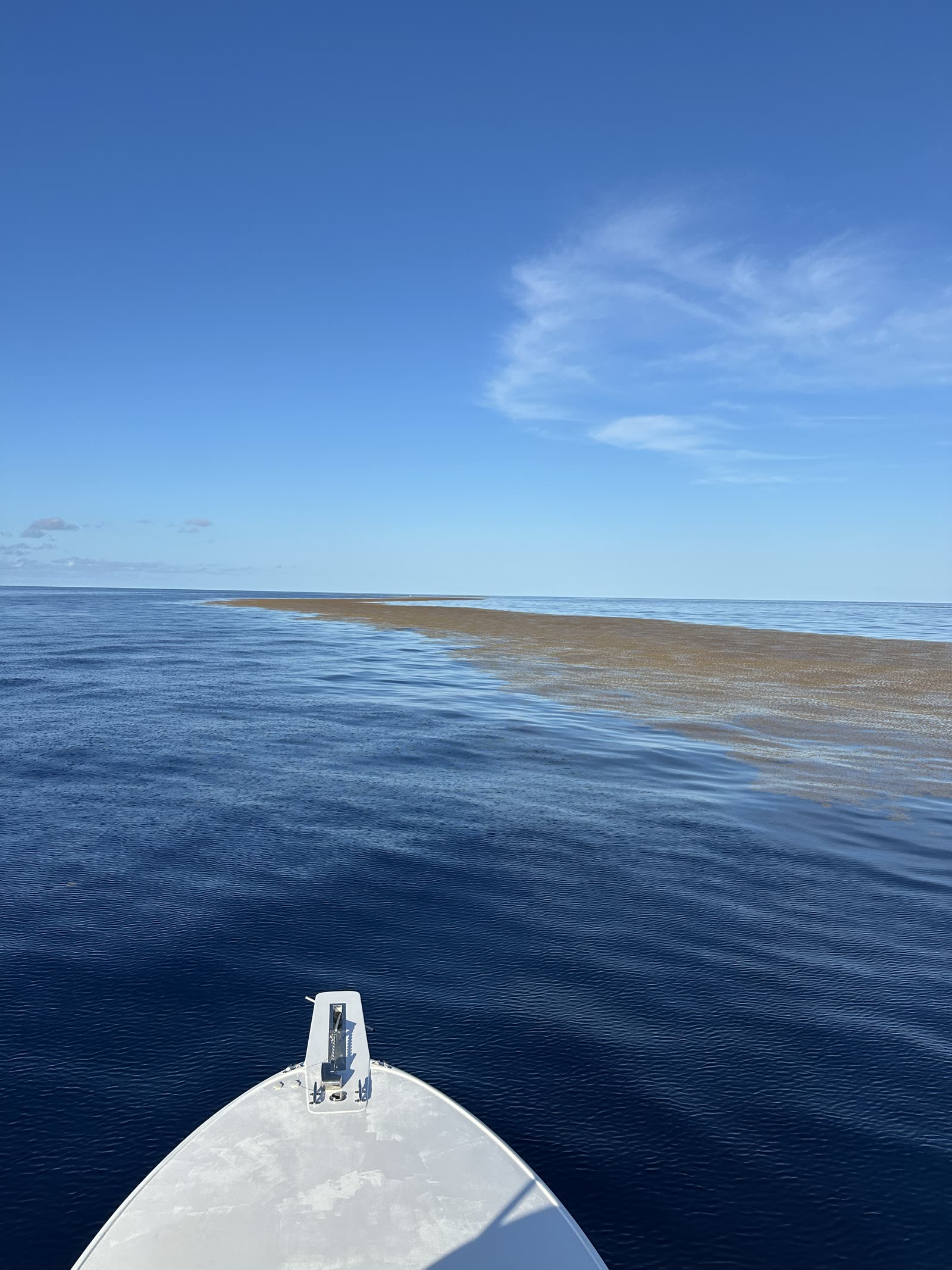 The 1,200 foot weed line, clean edge with deep blue outside